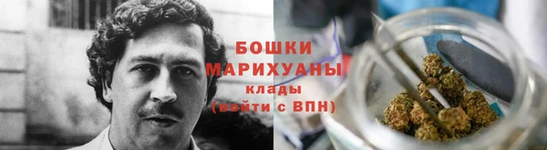 ГАЛЛЮЦИНОГЕННЫЕ ГРИБЫ Лихославль